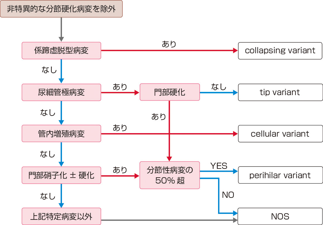 図1　コロンビア分類診断のアルゴリズム． 