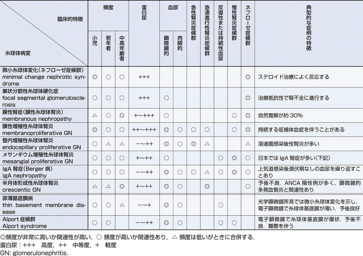 ⓔ表14-3-3　糸球体病変と臨床的特徴 