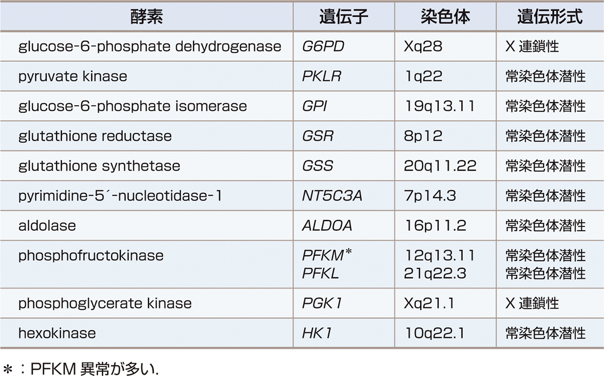 ⓔ表17-9-7　赤血球酵素異常によるおもな遺伝性溶血性貧血 